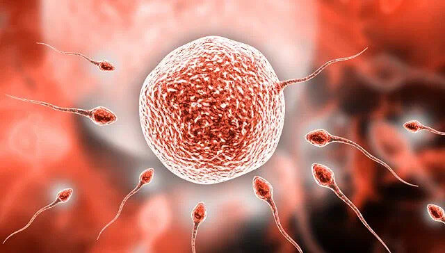 补钙锌硒产品(补充钙锌硒有什么作用)-硒宝网