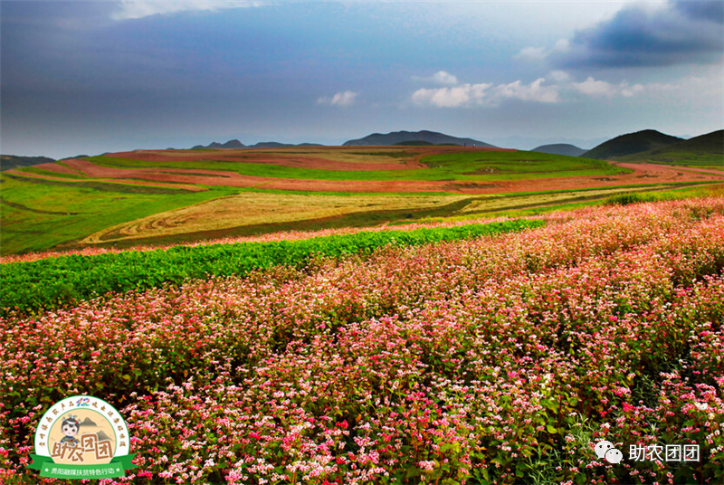 云南产品 硒（云南富硒在哪里）-硒宝网