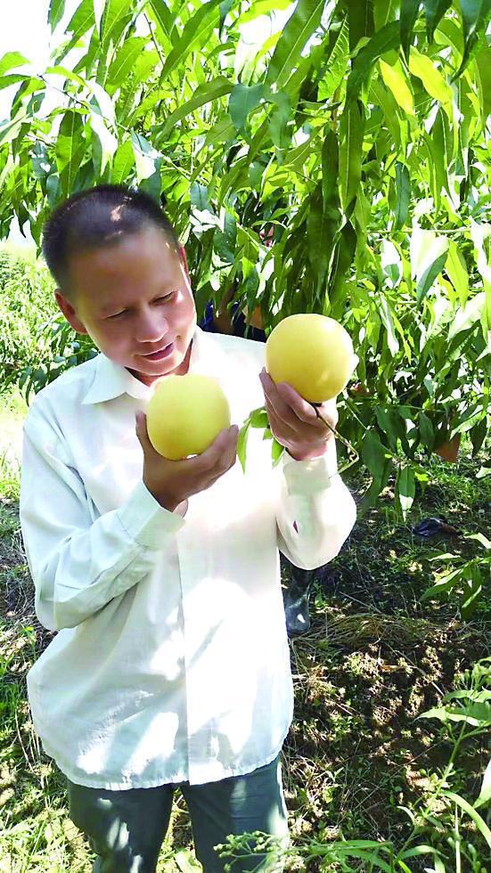 有机硒肥产品(农用硒肥)-硒宝网