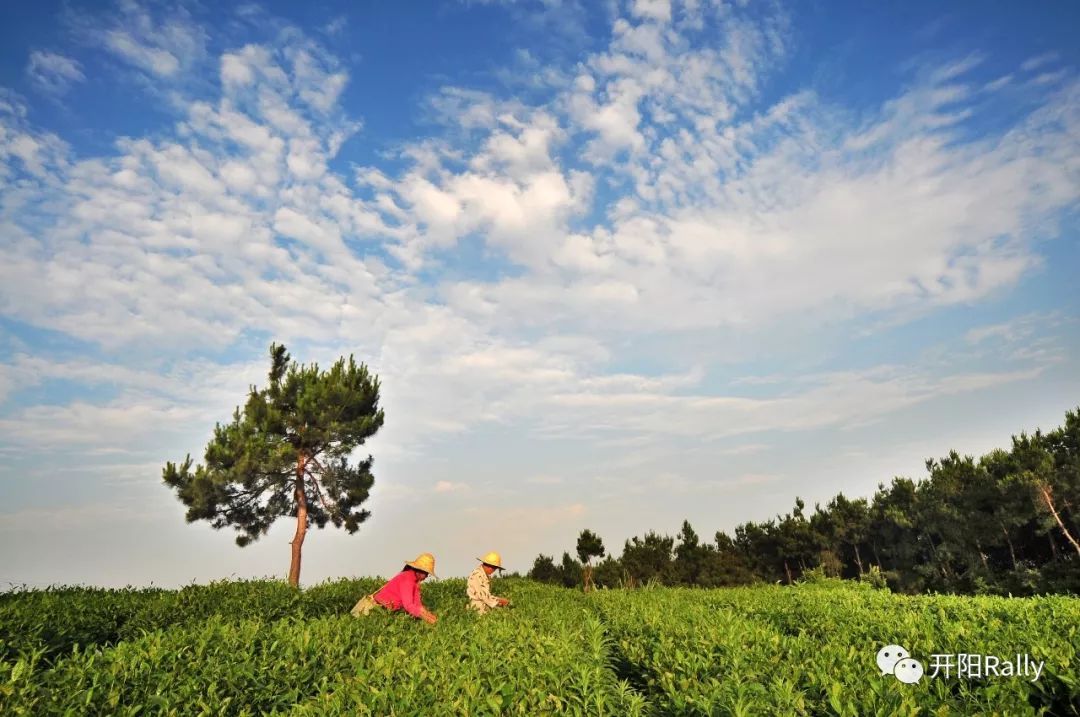 硒产品的产业(硒类产品)-硒宝网