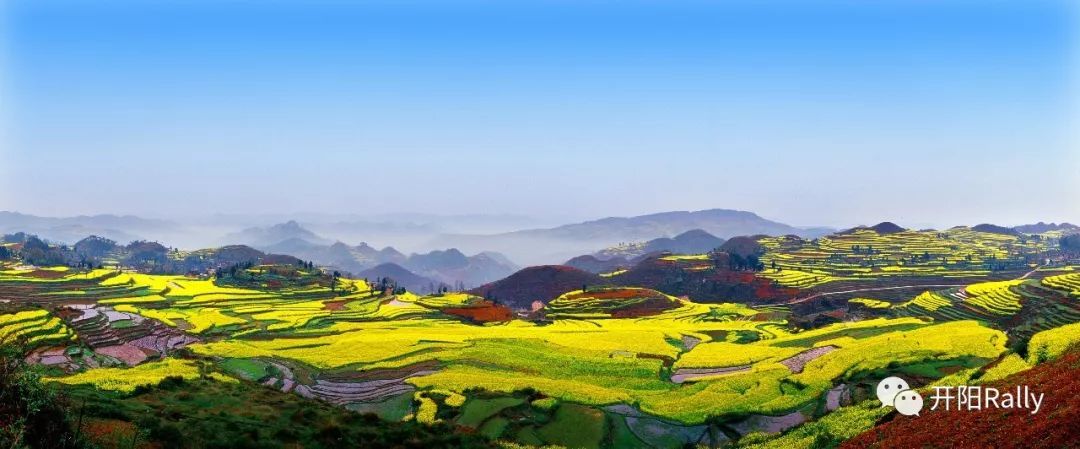 硒产品的产业(硒类产品)-硒宝网