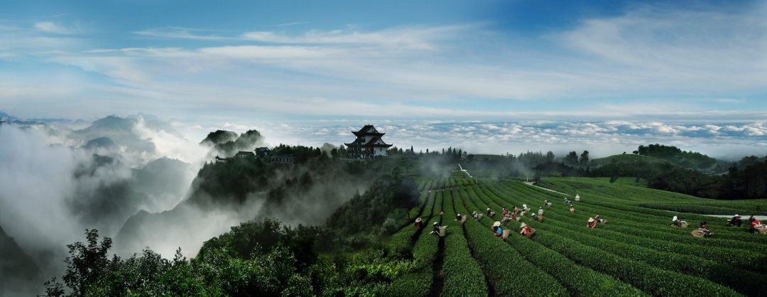 硒产品的产业(硒类产品)-硒宝网