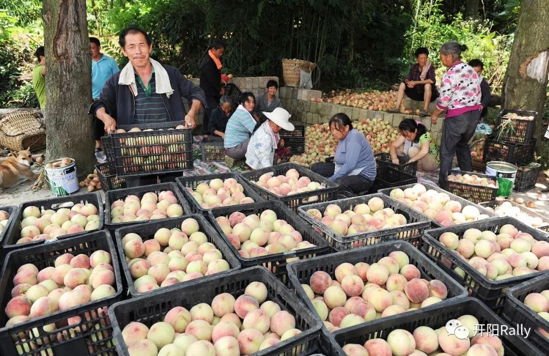 硒产品的产业(硒类产品)-硒宝网