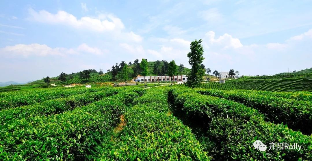 硒产品的产业(硒类产品)-硒宝网