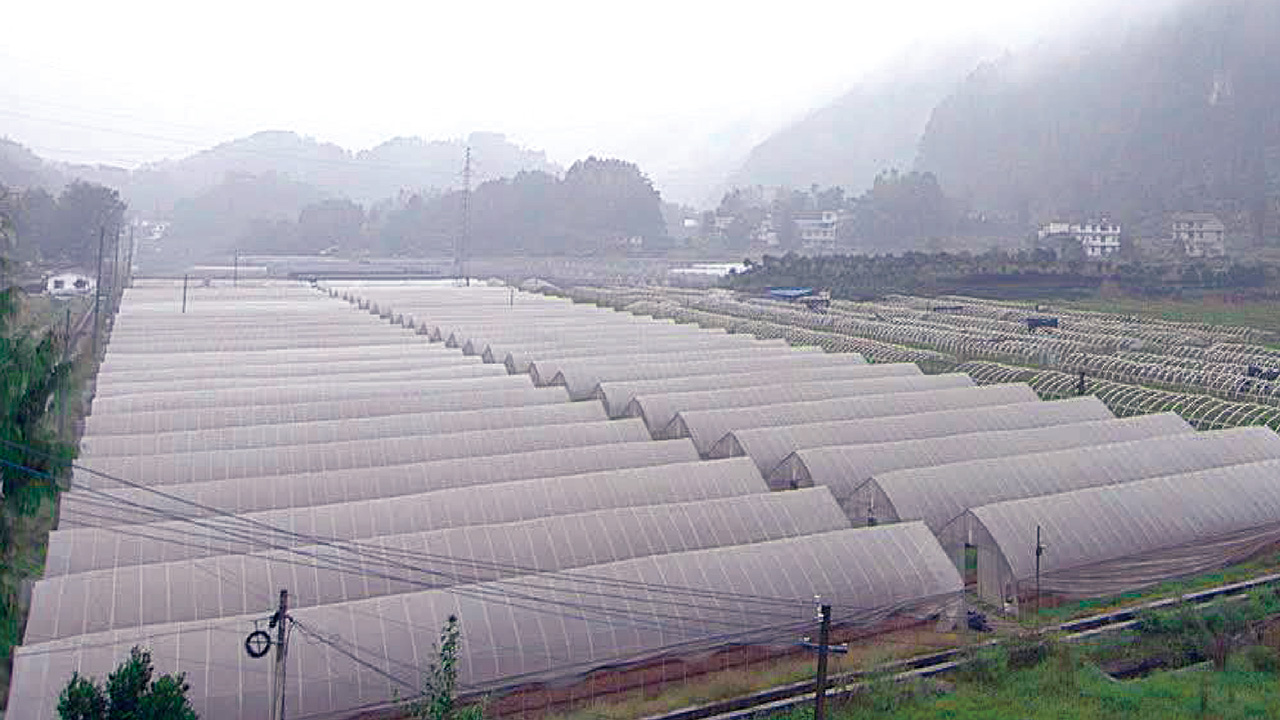 美国产硒产品（美国原装进口硒片）-硒宝网