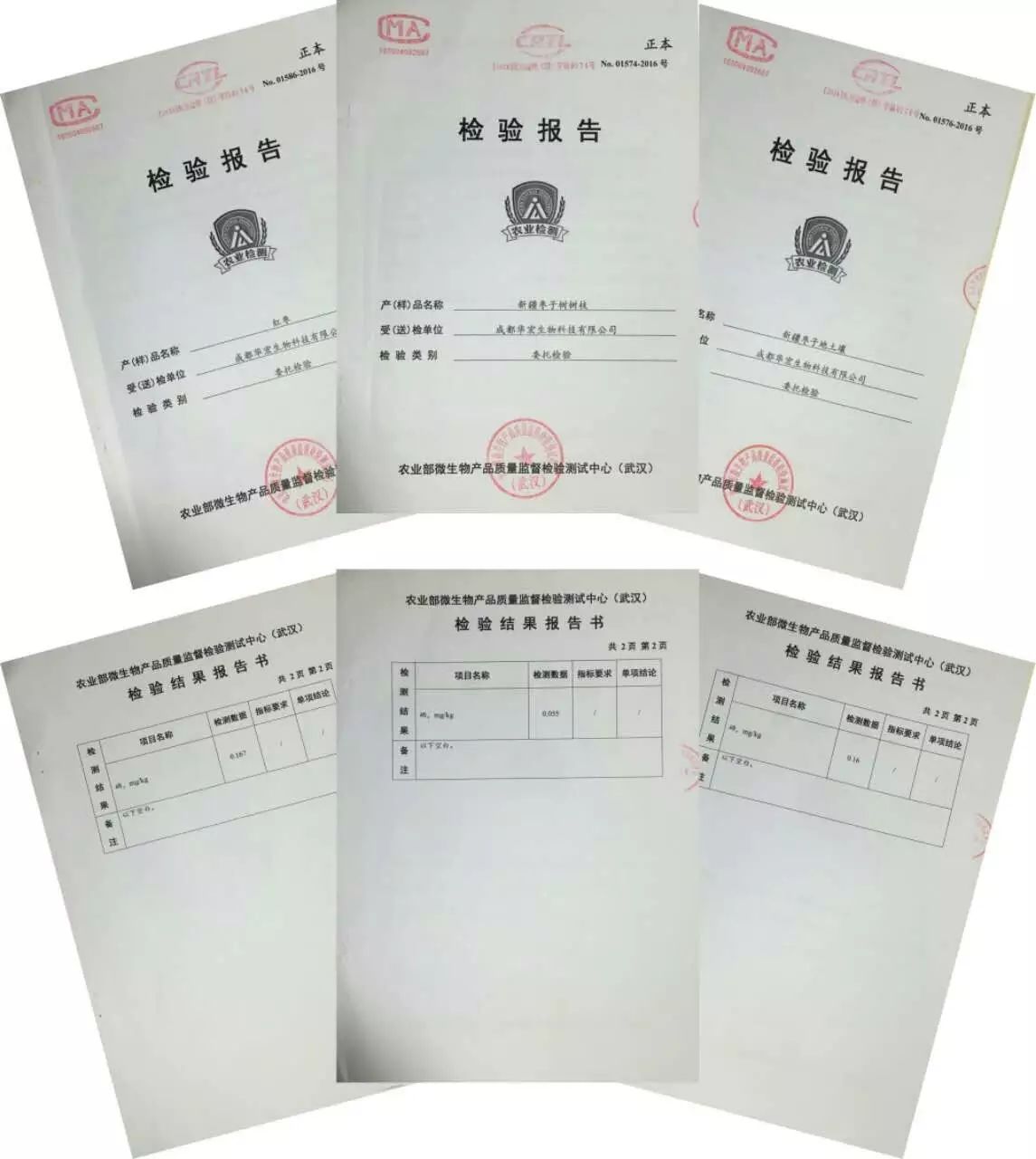 硒产品的功能(硒主要功能)-硒宝网