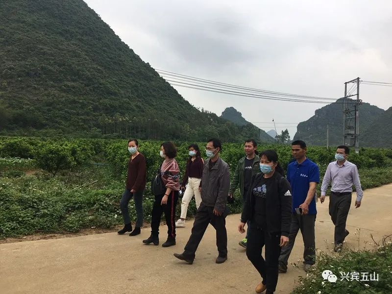 广西优硒产品(广西富硒食品)-硒宝网