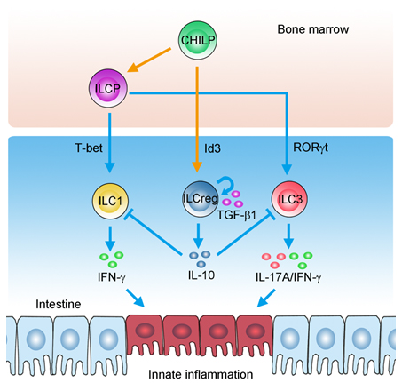 硒的健康产品(硒是什么保健品)-硒宝网