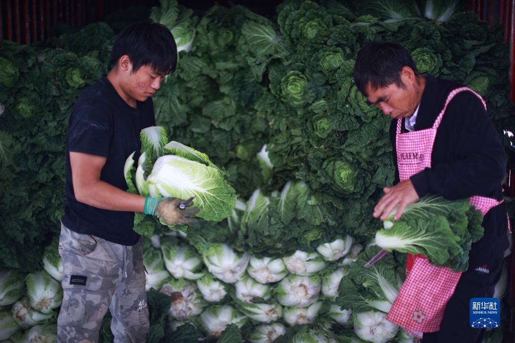 硒惠农业产品(硒惠农业产品)-硒宝网