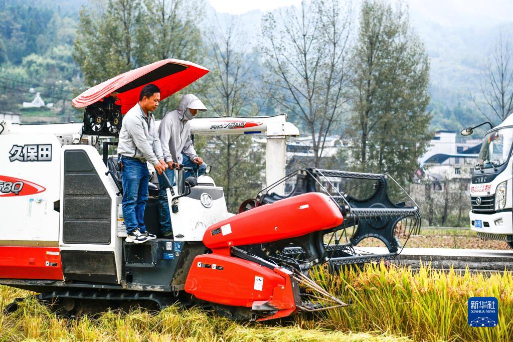 硒惠农业产品(硒惠农业产品)-硒宝网