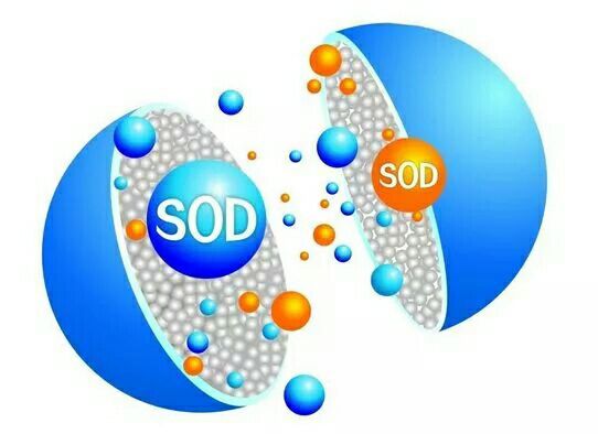 什么是硒产品(硒是食品吗)-硒宝网