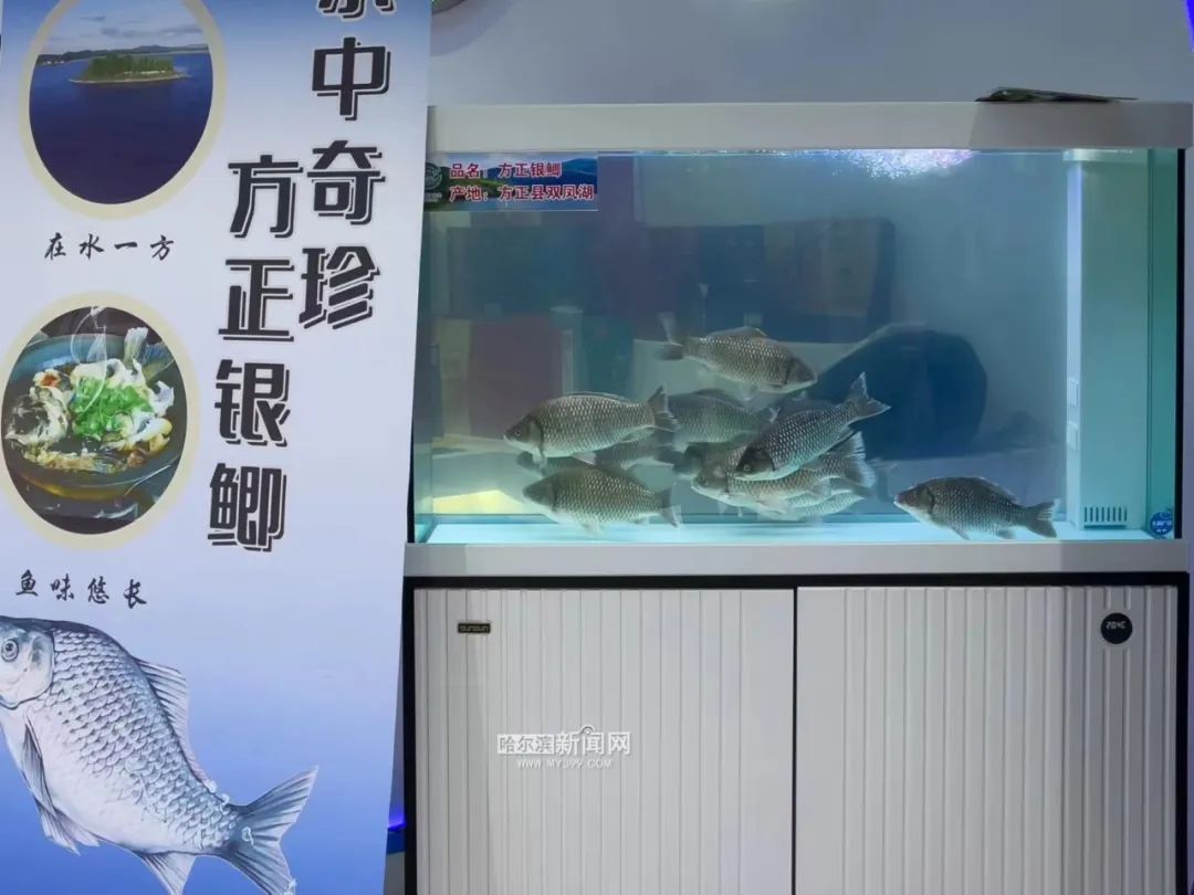 我国富硒产品(富硒国标)-硒宝网