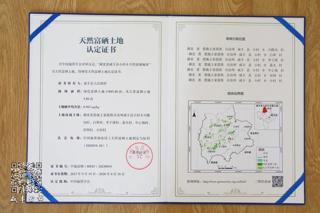 硒产品的未来(硒的前景)-硒宝网