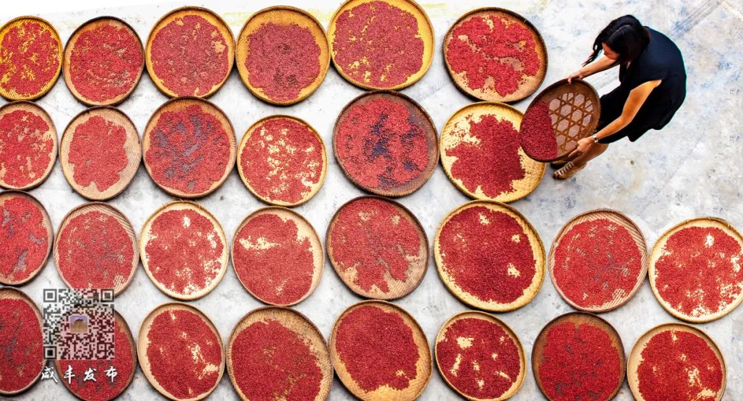 硒产品的未来(硒的前景)-硒宝网