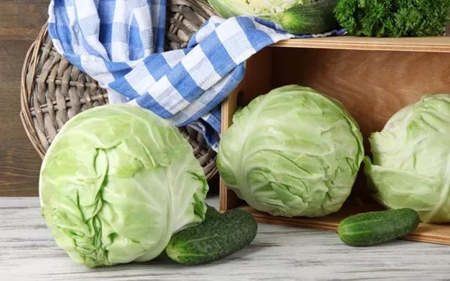 植物含硒产品(植物含硒表)-硒宝网