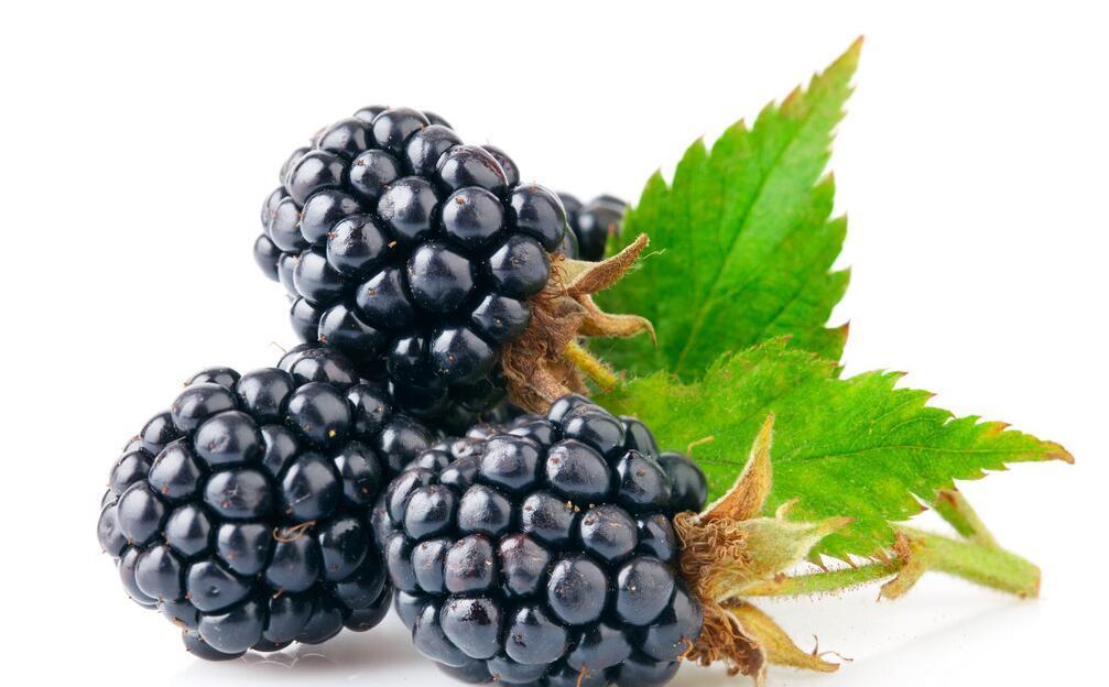 硒产品的种类(硒有哪些种类)-硒宝网