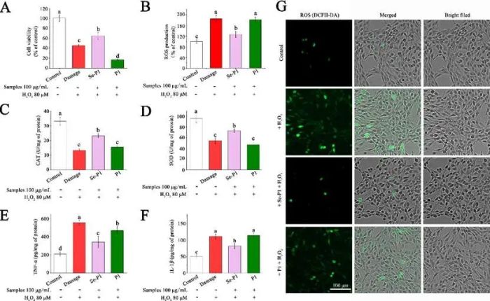 木耳硒肽产品(木耳肽硒的功效与作用)-硒宝网