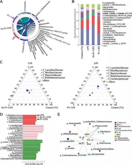 木耳硒肽产品(木耳肽硒的功效与作用)-硒宝网
