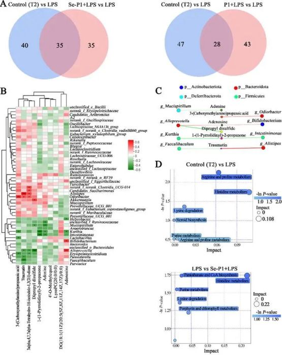 木耳硒肽产品(木耳肽硒的功效与作用)-硒宝网
