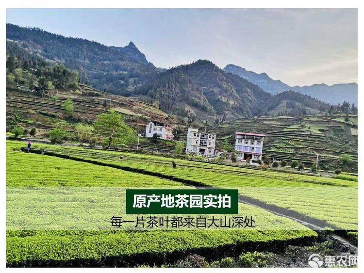 恩施硒圣产品（湖北恩施硒圣植物有机硒产品）-硒宝网