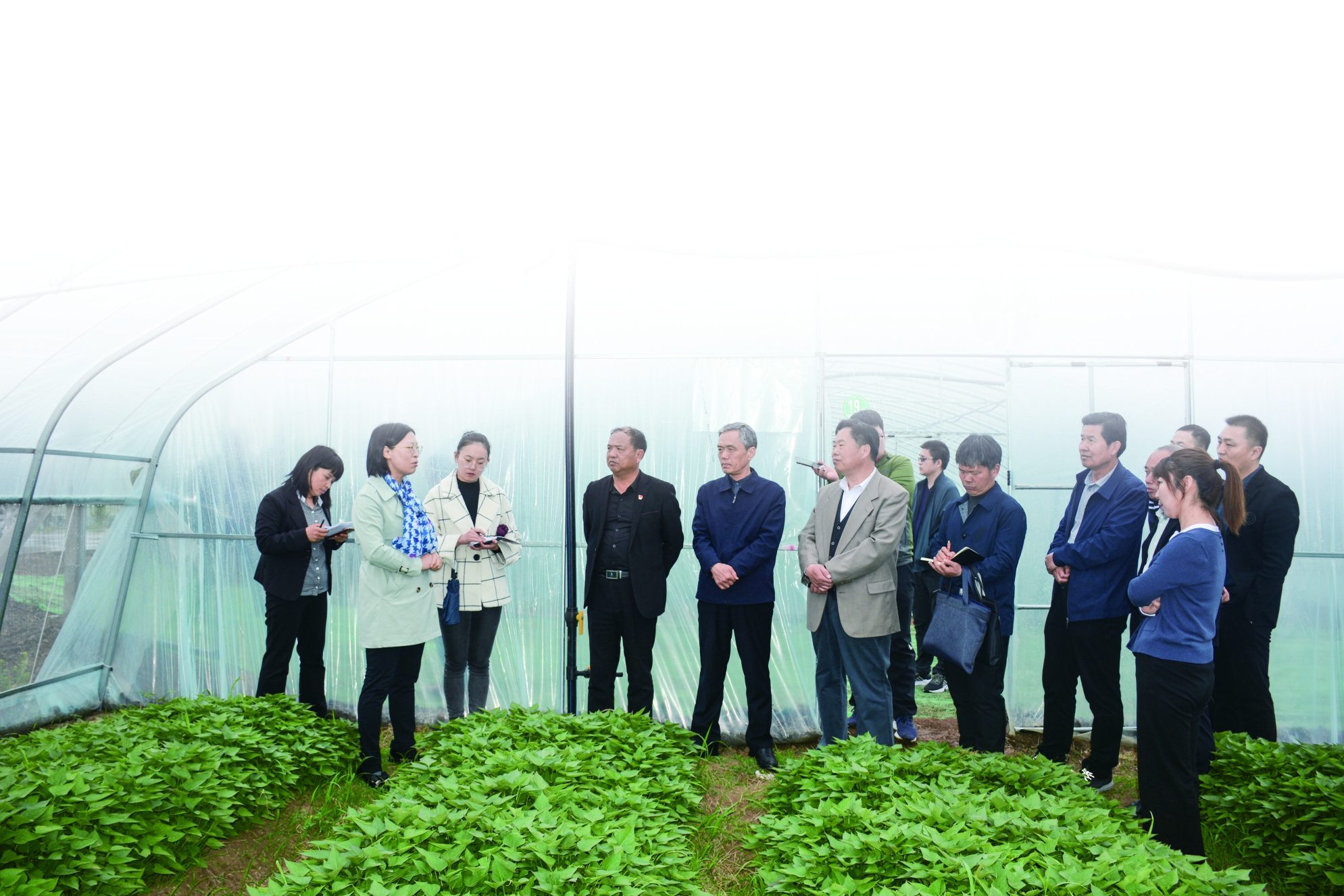 硒展农业产品（2021富硒农产品博览会）-硒宝网