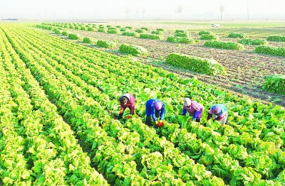 硒展农业产品（2021富硒农产品博览会）-硒宝网