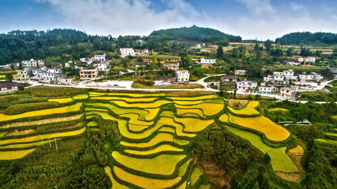 硒展农业产品（农展馆富硒产品展有吗）-硒宝网