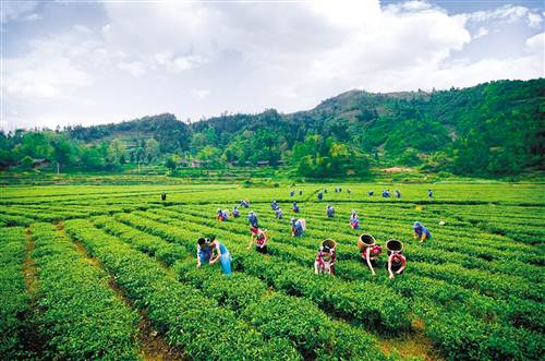 陕西硒石产品（陕西硒汉食品有限公司）-硒宝网