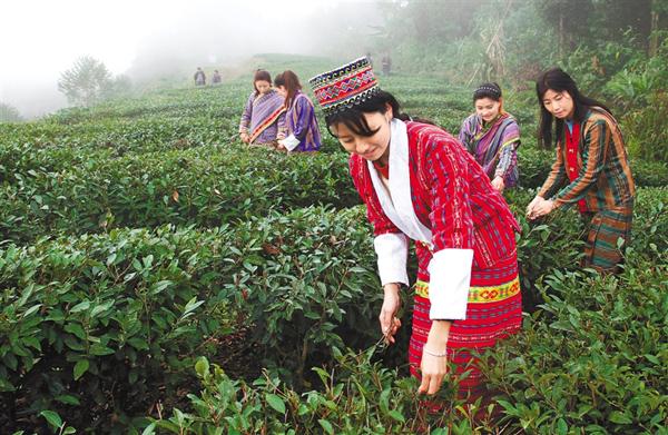 陕西硒石产品（陕西硒汉食品有限公司）-硒宝网