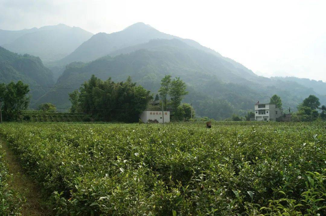 陕西硒石产品（陕西硒汉食品有限公司）-硒宝网