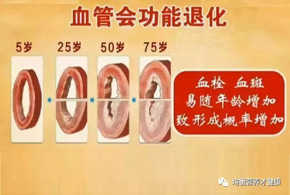 复合肽硒产品(复合肽产品硒元素含量)-硒宝网