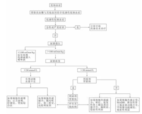 低钠血症简单补钠方法（钠低用什么补）-硒宝网