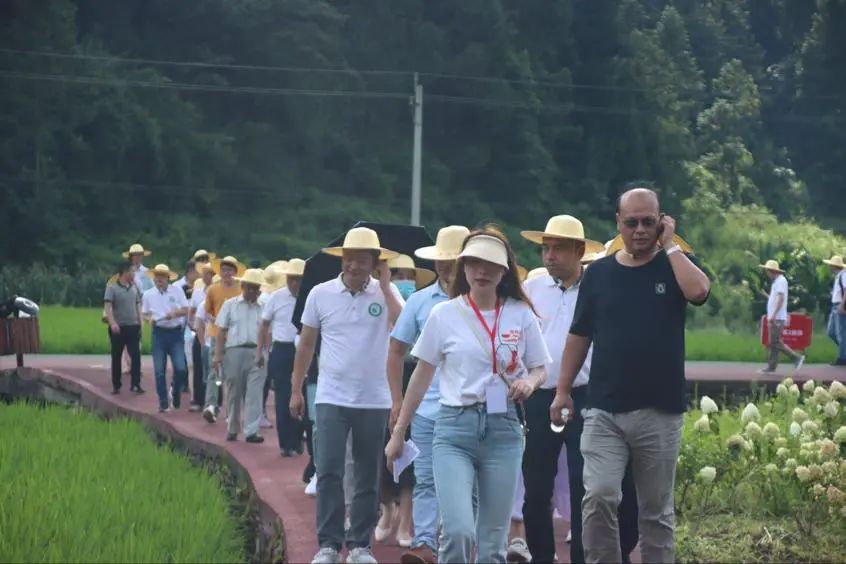 咸丰富硒产品（咸丰富硒产品有哪些）-硒宝网