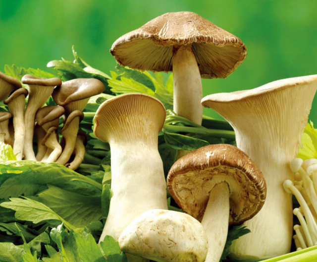 硒产品的好处（硒产品对身体有什么好处）-硒宝网