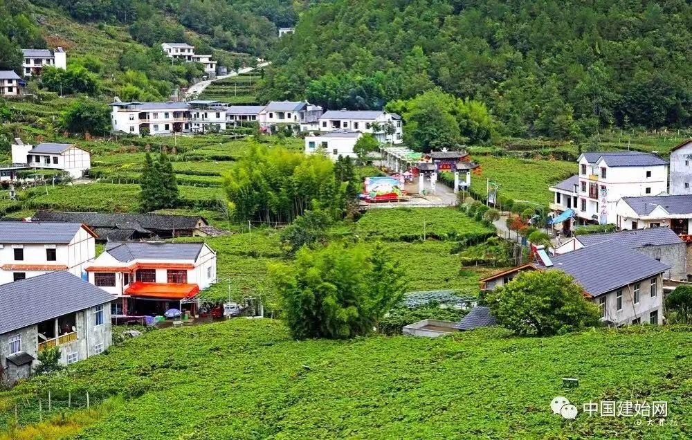 硒产品的好处(硒的好处与坏处)-硒宝网