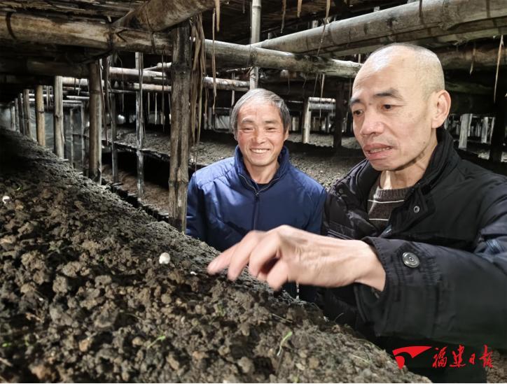 硒产品什么好(最好的硒)-硒宝网