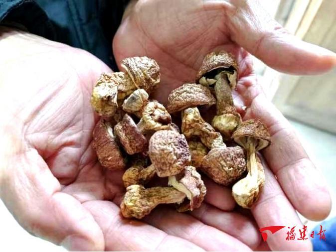 硒产品什么好(最好的硒)-硒宝网