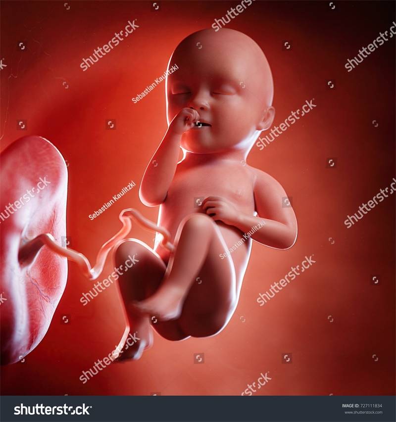 吃啥补铁补血最快最好(补血吃铁片好吗)-硒宝网