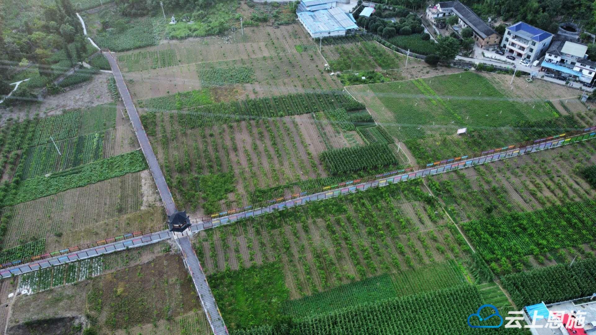 恩施硒源产品（恩施硒元素生态农业）-硒宝网