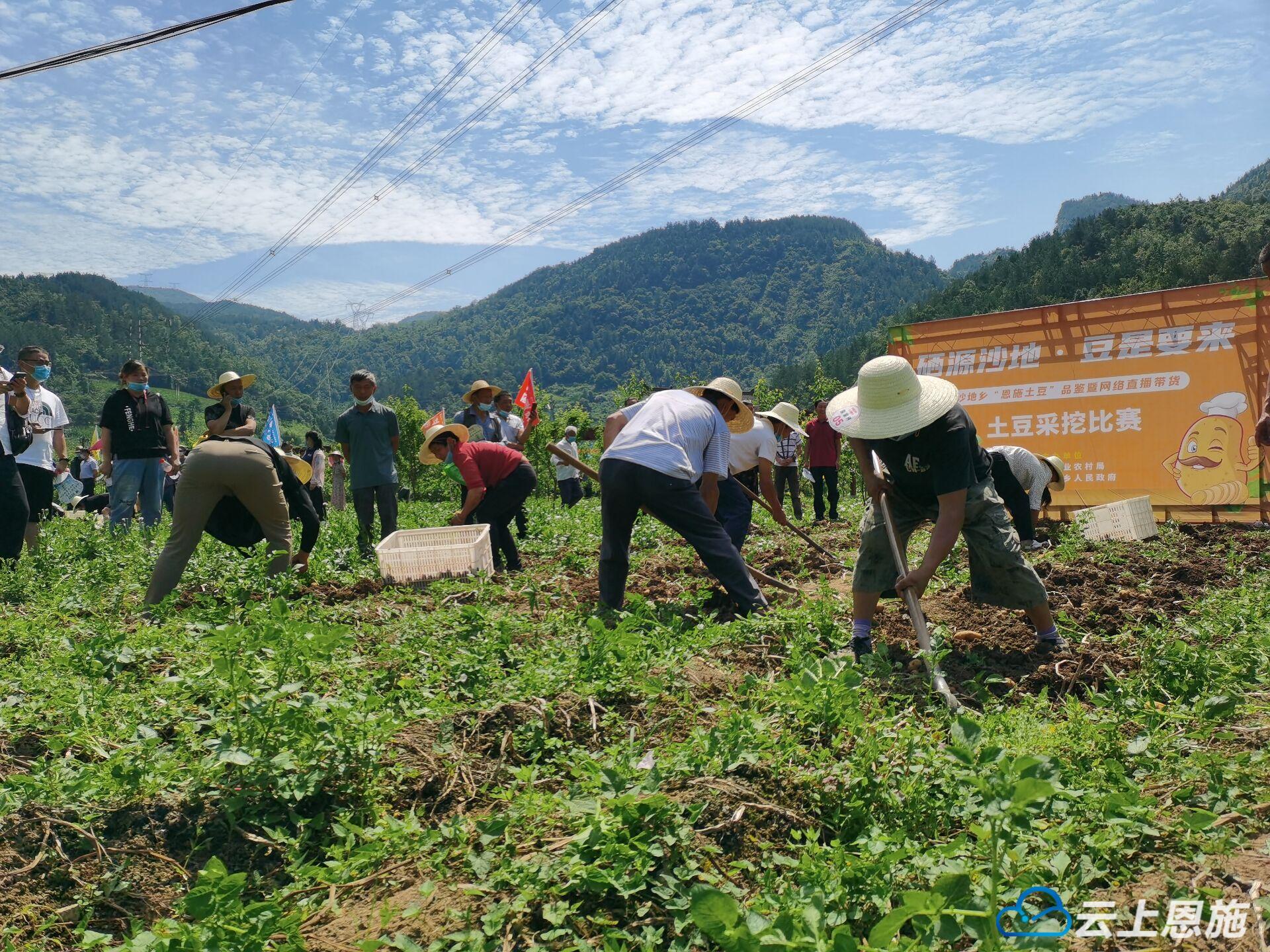 恩施硒源产品（恩施硒元素生态农业）-硒宝网