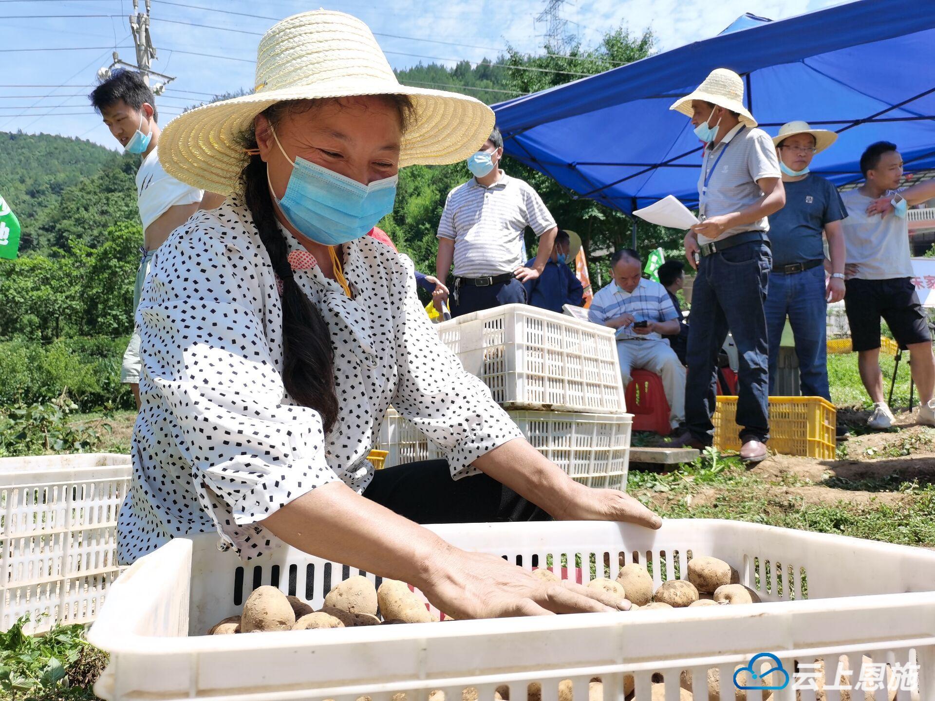 恩施硒源产品（恩施硒元素生态农业）-硒宝网