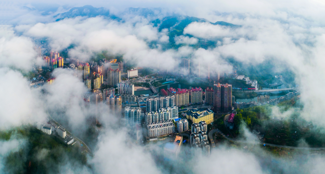 寿宁硒锌产品（锌寿宁产品硒含量高吗）-硒宝网