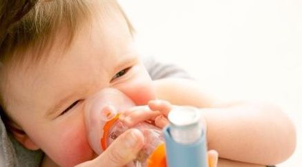 鸡肝补铁吗(鸡肝补铁比猪肝好)-硒宝网