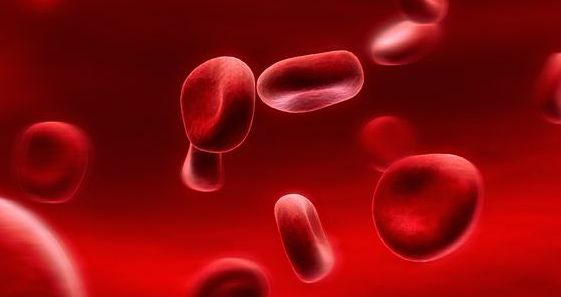 鸡肝补铁吗(鸡肝补铁比猪肝好)-硒宝网