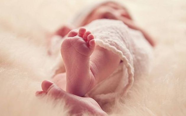 鸡肝补铁吗(鸡肝补铁比猪肝好)-硒宝网