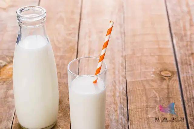 豆浆补钙还是牛奶补钙（补钙牛奶豆浆）-硒宝网