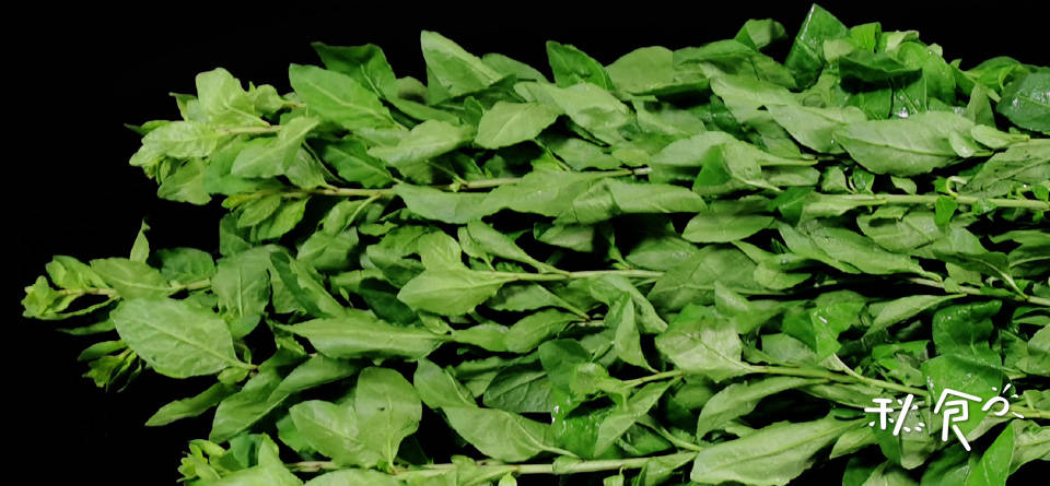 猪筒骨煲什么最补钙（春天猪筒骨煲什么最补钙）-硒宝网