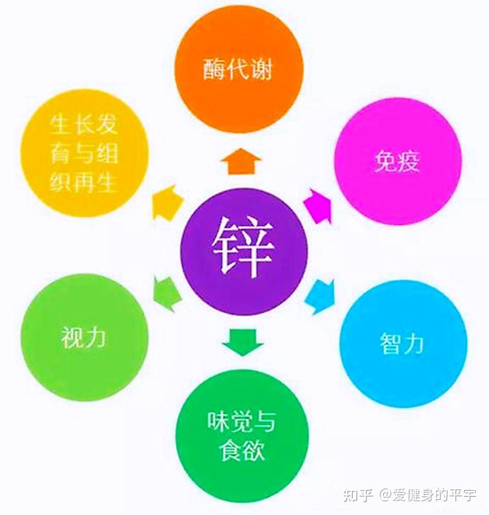 男人补锌(男人补锌镁片能提高性功能吗)-硒宝网