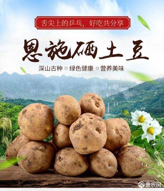 作物用硒产品(硒在农业的作用)-硒宝网