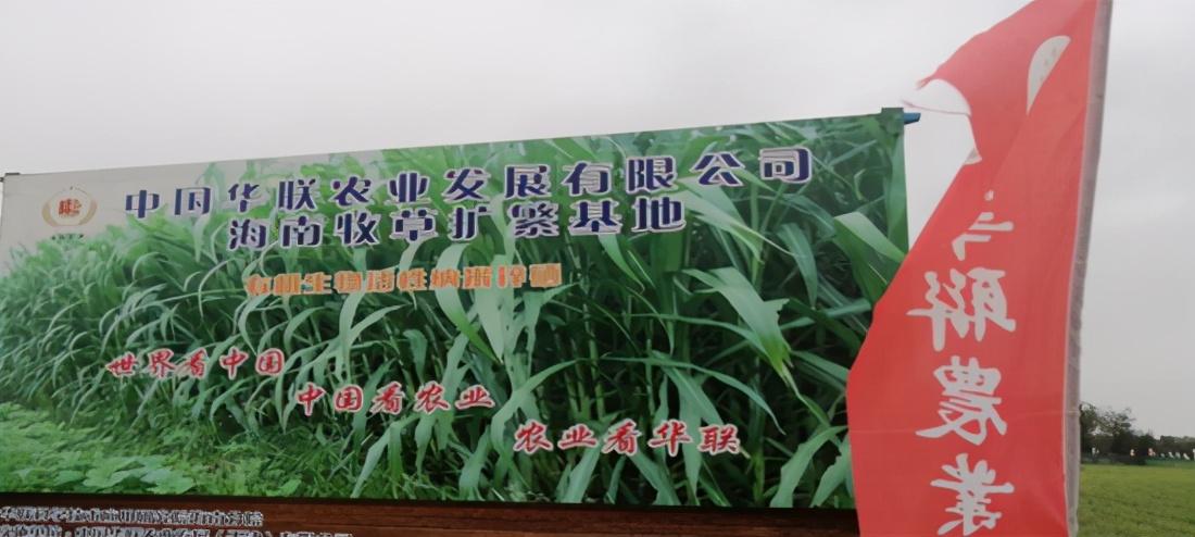 锌硒产品推荐(锌硒片推荐)-硒宝网